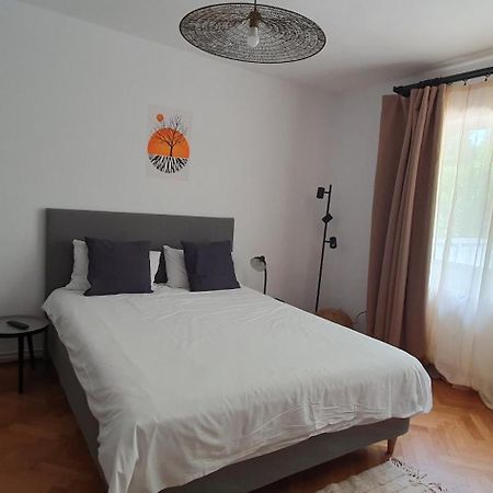 The Pines Serviced Apartments Brasov Ngoại thất bức ảnh