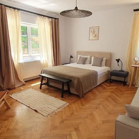 The Pines Serviced Apartments Brasov Ngoại thất bức ảnh