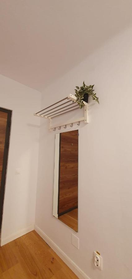 The Pines Serviced Apartments Brasov Ngoại thất bức ảnh